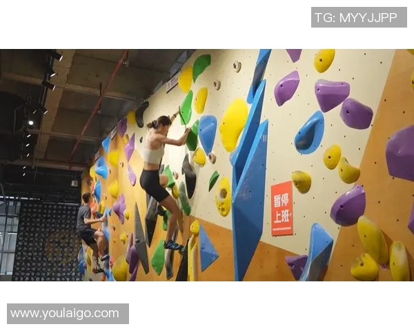 武汉攀岩队灵活性研究：探索攀岩运动中的适应与发展策略